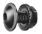 Screw with Nut