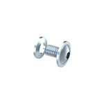Screw with Washer