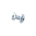 Screw with Washer